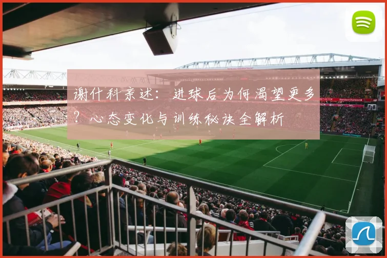 谢什科亲述：进球后为何渴望更多？心态变化与训练秘诀全解析